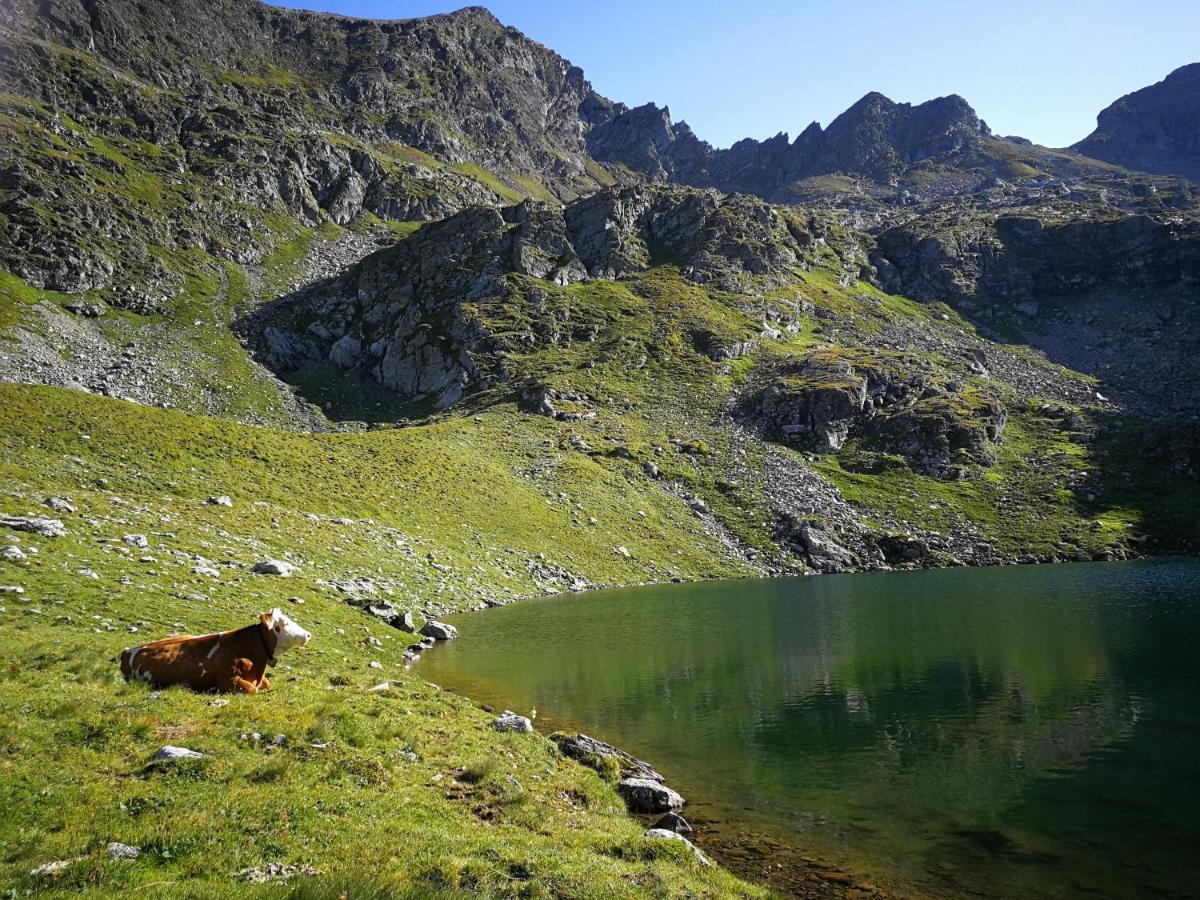 Moamoosgut Goriach (Spittal an der Drau)